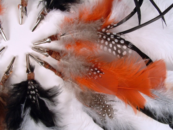 Photo of feather hair ornaments.